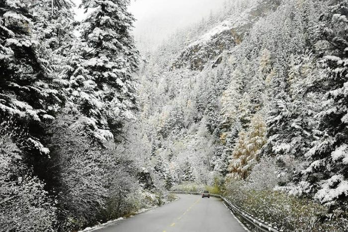Mist, cool weather, and mountain scenery all year round