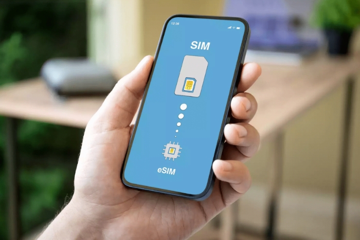 Physical SIM Card vs Vietnam eSIM