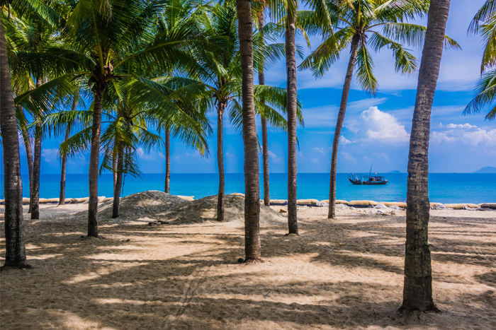 Cua Dai Beach Hoi An – white sand and calm sea in December