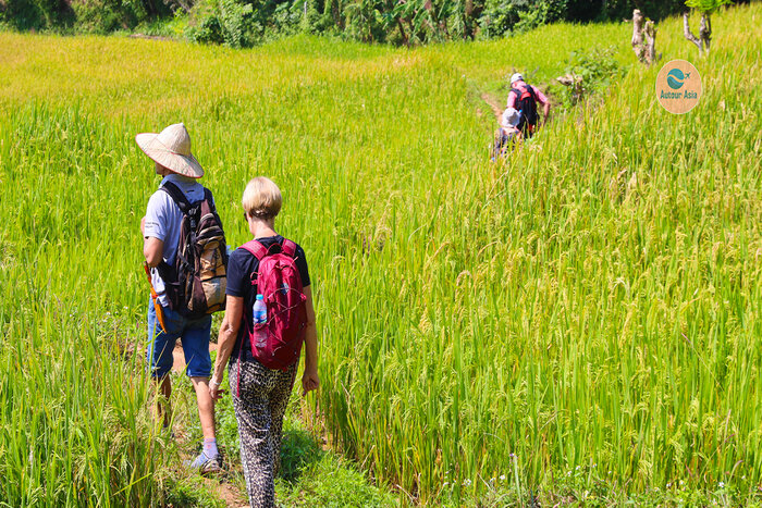 Mai Chau, must-see destination in your 1-week North Vietnam adventure