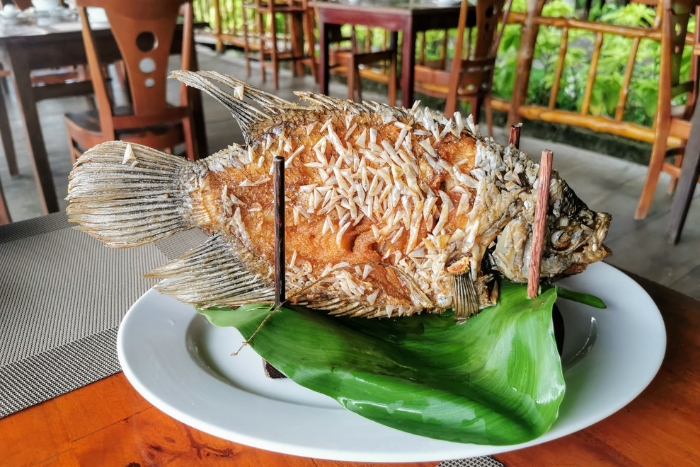 Taste Mekong culinary specialties in the one-week itinerary in Southern Vietnam