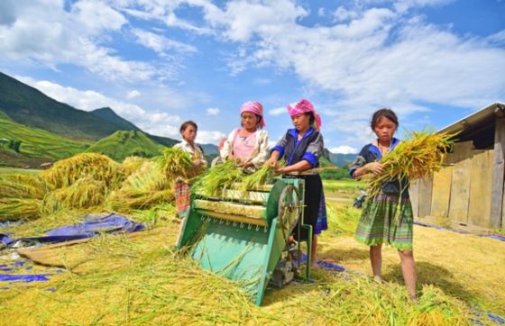 15-day Trip To Vietnam In October With Mr. Thierrys Experience