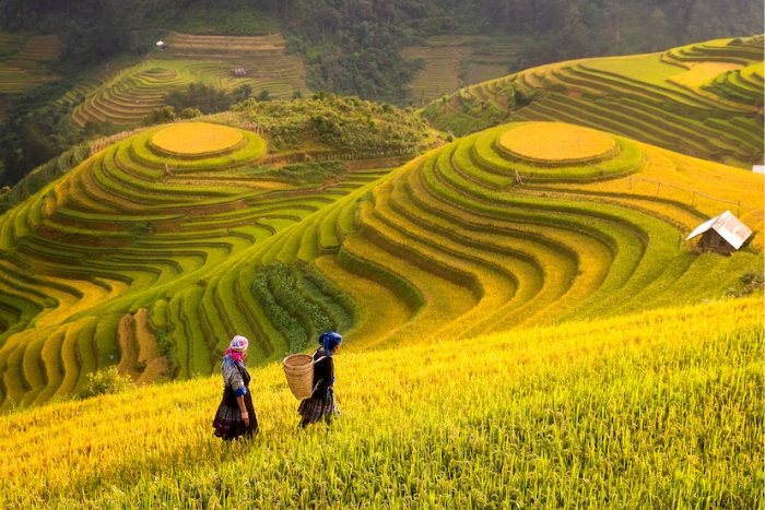 Vietnam lights up in October - Take 15-day Vietnam itinerary with Mr Thierry