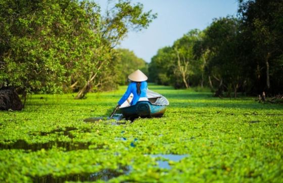 Discover Itinerary Of 2 Weeks In Southern Vietnam