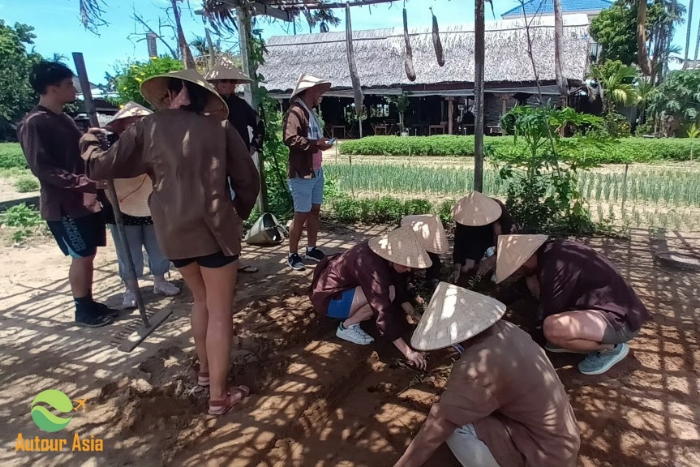 Activities to connect with nature and locals 