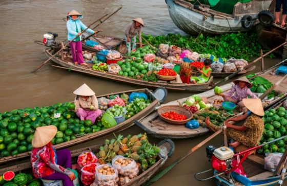 Remarks On 2-week Mekong Delta Itinerary Recommended By Mrs. Isabelle