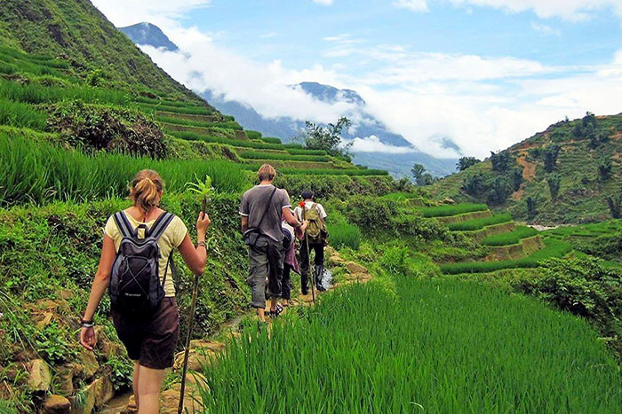 Explore the best trekking road in Sapa