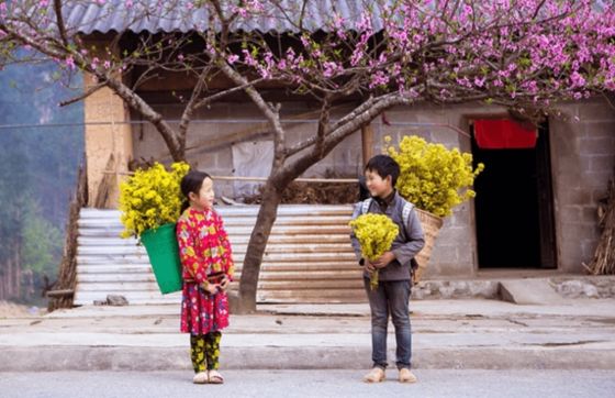 1-Week Trip In Cao Bang Ha Giang Vietnam – Proposal From Mrs Catherine