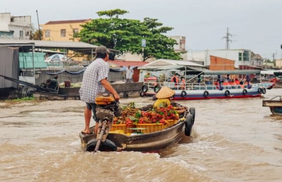 Mrs Laurances Assessment Of The 3-day Mekong Delta Itinerary, Vietnam