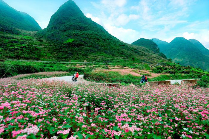 Take a tour in Ha Giang for the best experience