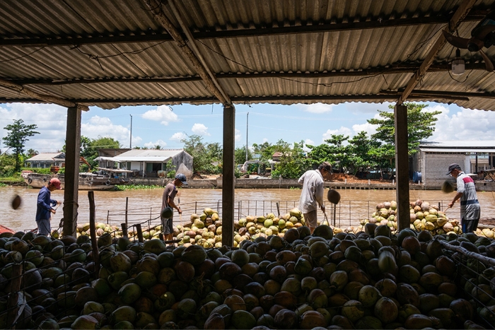 Vietnam and Cambodia Tour: Craft Villages in Ben Tre