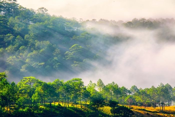 Experience a coolcation in Vietnam: Nature, culture, and serenity