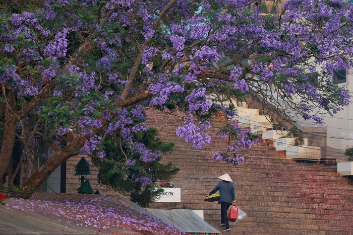 Da Lat's cool climate makes it a top Central Vietnam destination for a coolcation