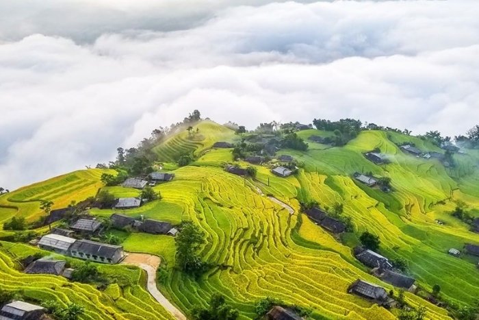 Coolcation in Vietnam are becoming increasingly popular among international travelers