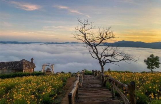 Mr. Alberts Recommendation For 4 Day-trip In Da Lat Nha Trang