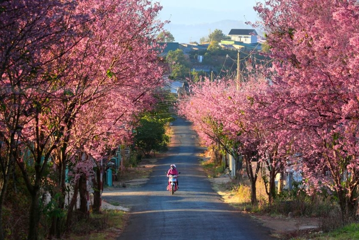 What to do in Dalat as a couple?
