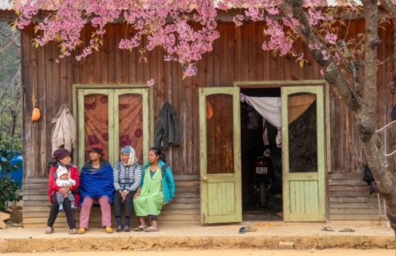 Da Lat Weather – Best Time To Visit Da Lat