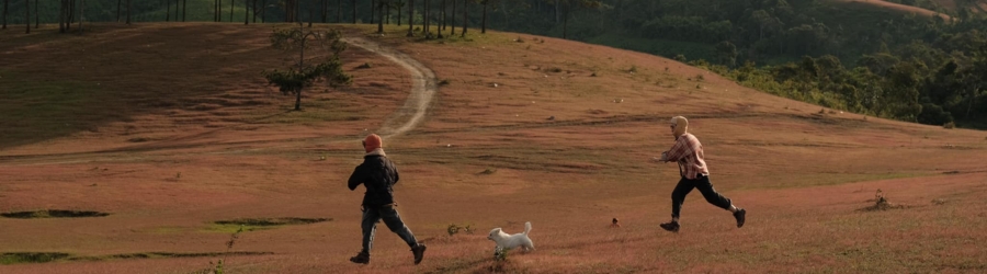 What is the best time to visit Dalat ?