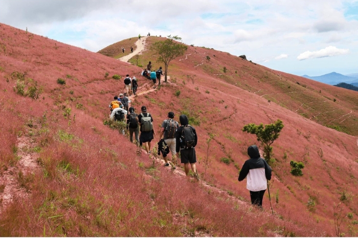 What is the best time to visit Dalat ?