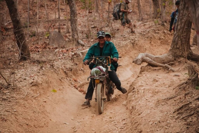 The &ldquo;forest Grab&rdquo; experience