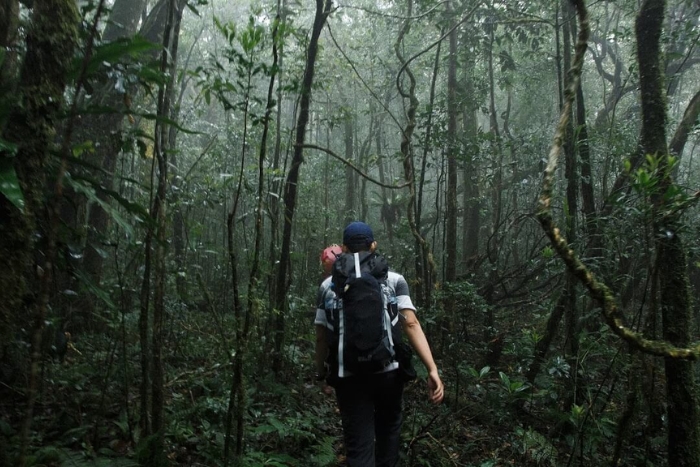 Exploring the mysterious primary forest of Bidoup Nui Ba National Park