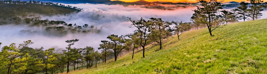 What to do in 3 days Da Lat Coolcation Package?