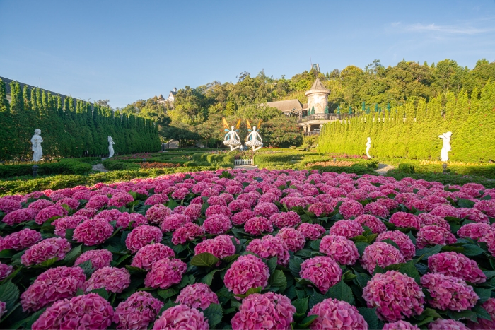 Strolling through Le Jardin d’Amour in a colorful Ba Na Hills 1 day trip