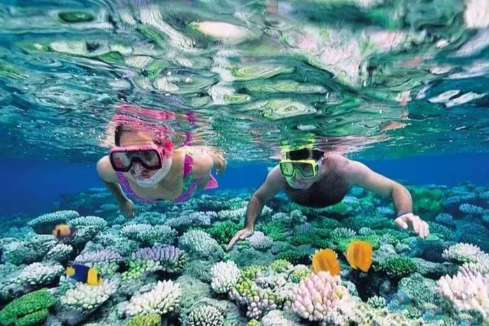 At Son Tra Peninsula, you can enjoy many exciting activities with your family