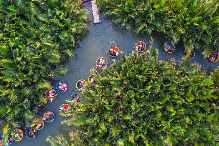 Bay Mau Coconut Forest