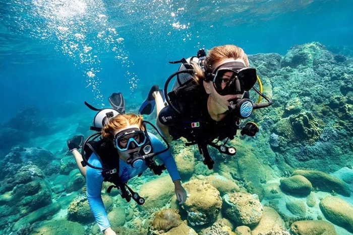 Diving to see coral on Cham island