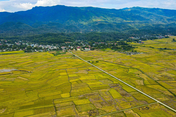 Mường Thanh Valley
