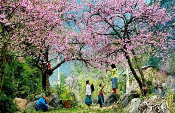 3 Days In Dien Bien – A Travel Experience By The Martin Family