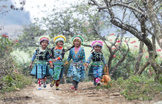 Best Time To Visit Dien Bien Vietnam