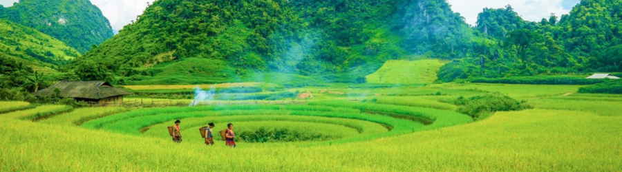 Combine visits to ethnic villages in Dien Bien and admire breathtaking landscapes during your trip