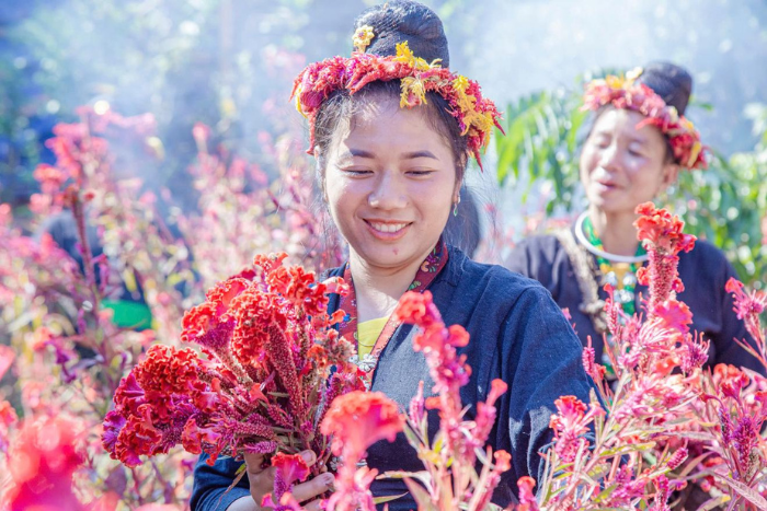 The vibrant Cockcomb Flower Festival of the Cong ethnic group in Dien Bien