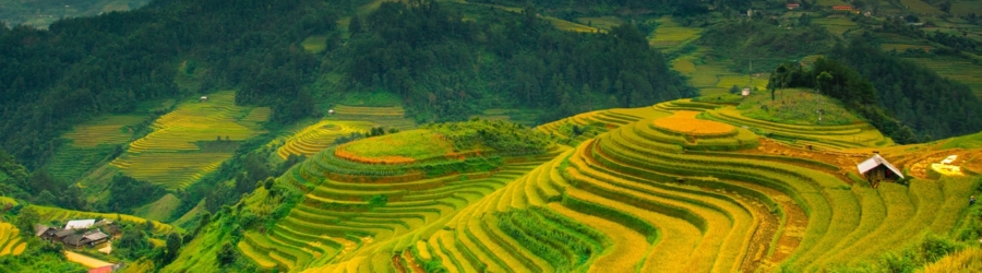 Find accommodation in Dien Bien for a perfect trip