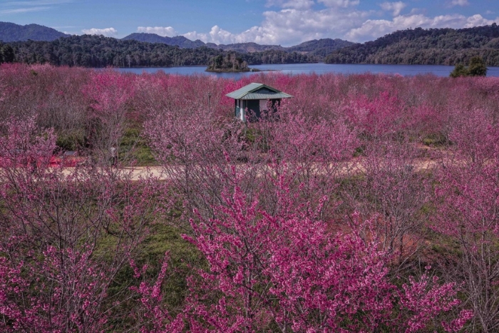 Pa Khoang Lake -  must-see destination in Dien Bien with family