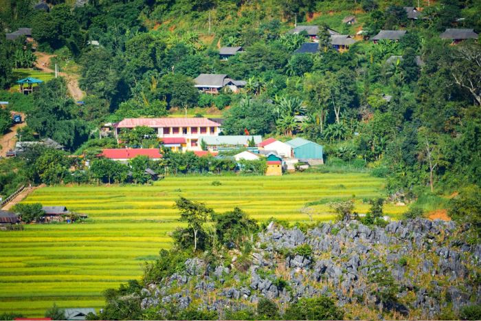 Practical tips for getting around easily in Dien Bien