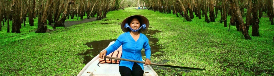 What are the differences between Vietnam and Laos?