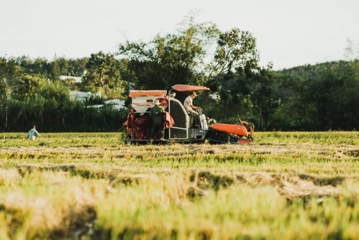 Agricultural activities provide a way to better understand the routines and traditions of local families