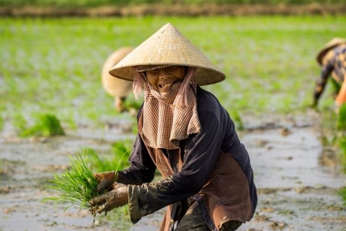 A farm tour reveals the everyday gestures and routines that define life in rural Vietnam