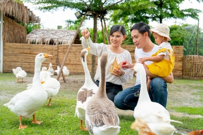 A farm stay turns a traditional sightseeing experience into a chance to take part in local life