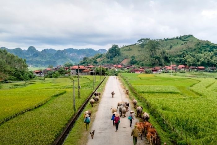 A farm tour is about more than the activities; the exchanges with local families are just as meaningful