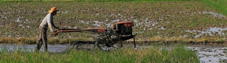 Take part in farm work and discover a more authentic side of everyday life in Vietnam