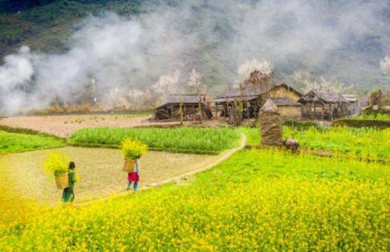 Ha Giang Travel Itinerary: 2 Days In Ha Giang, Northern Vietnam
