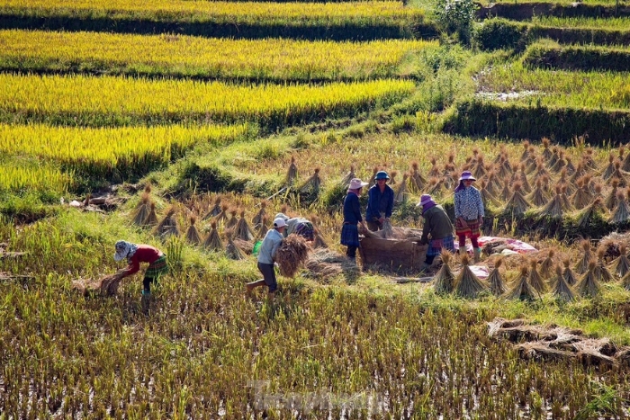Ha Giang Loop in Octobor