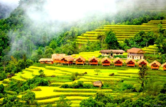 Unlimited Experience: Discover The Best Time To Visit Ha Giang, Vietnam