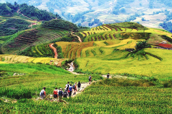 Ha Giang Loop best time of year 