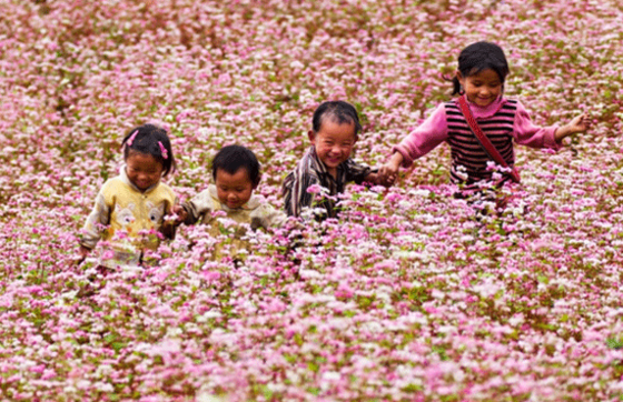 Discover Ha Giang, Vietnam: The Top 13 Places To Visit