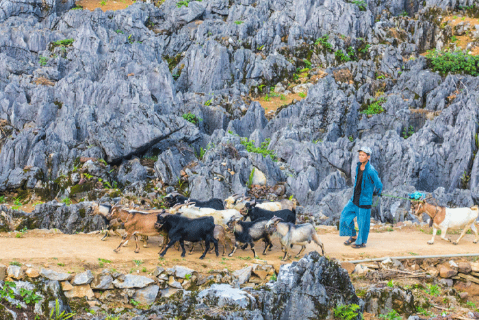 Dong Van karst plateau